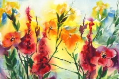 Florals - Watercolours