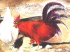 rooster-hen